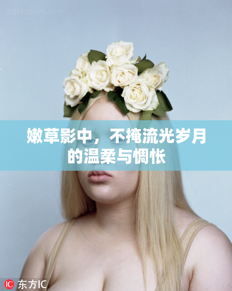 嫩草影中，不掩流光岁月的温柔与惆怅