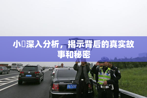 小泬深入分析，揭示背后的真实故事和秘密