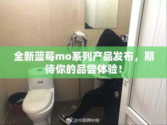全新蓝莓mo系列产品发布，期待你的品尝体验！