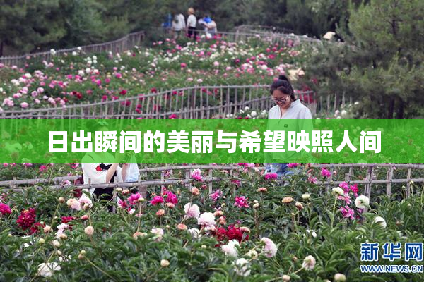 日出瞬间的美丽与希望映照人间