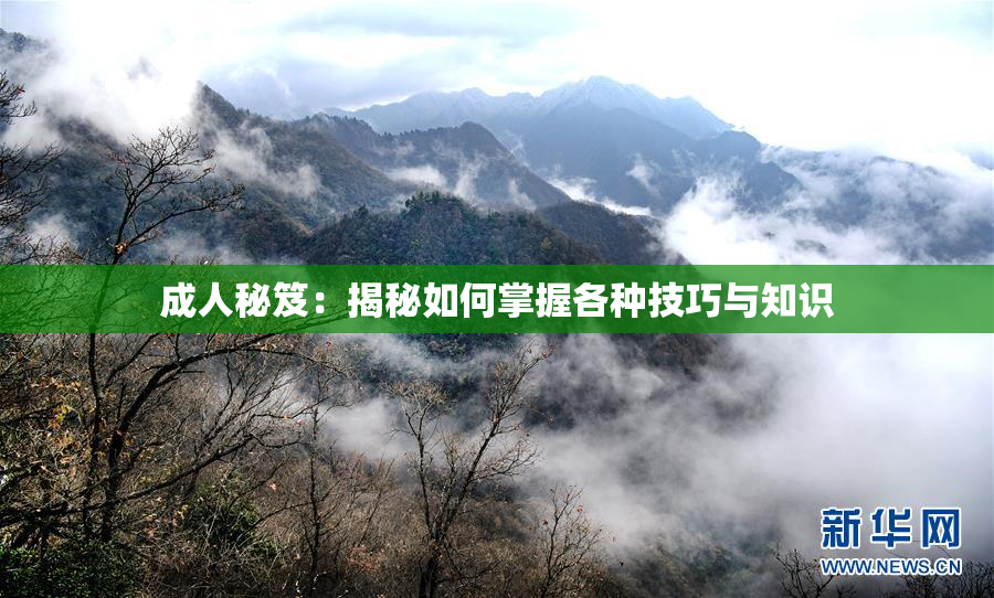 成人秘笈：揭秘如何掌握各种技巧与知识