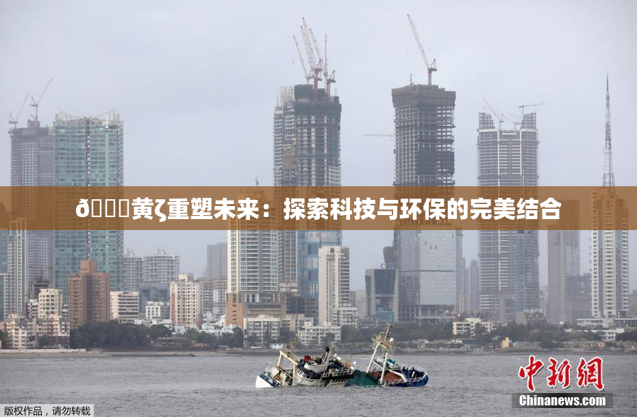 🔞黄ζ重塑未来：探索科技与环保的完美结合