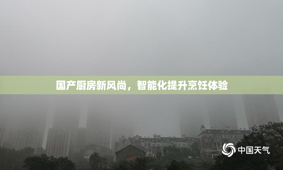 国产厨房新风尚，智能化提升烹饪体验
