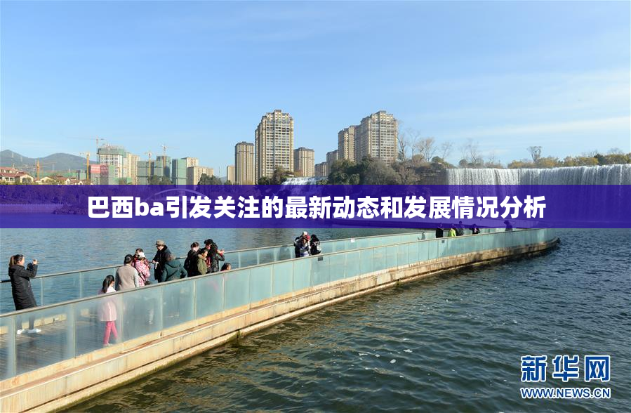 巴西ba引发关注的最新动态和发展情况分析