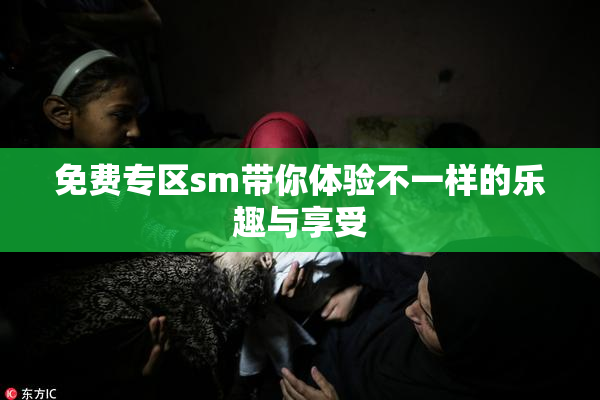 免费专区sm带你体验不一样的乐趣与享受