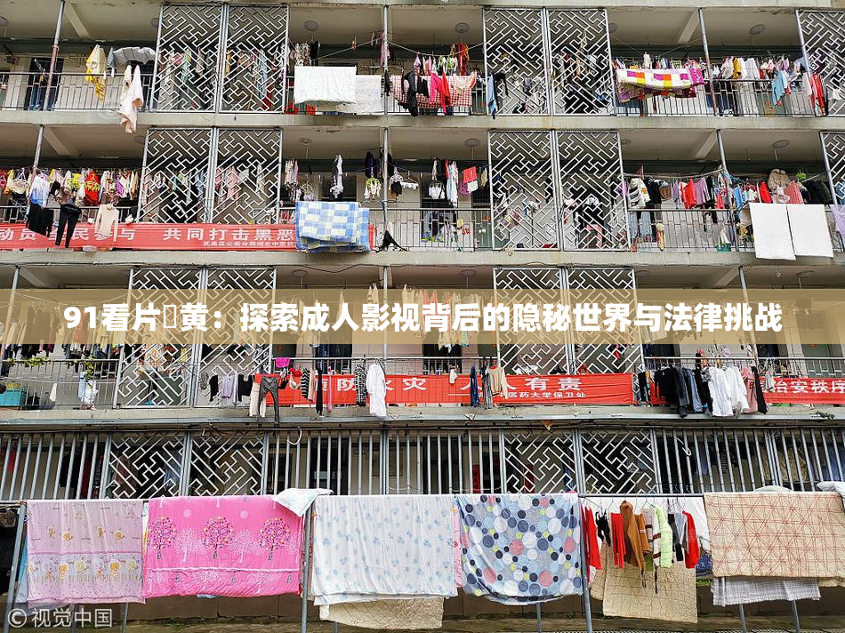 91看片婬黄：探索成人影视背后的隐秘世界与法律挑战
