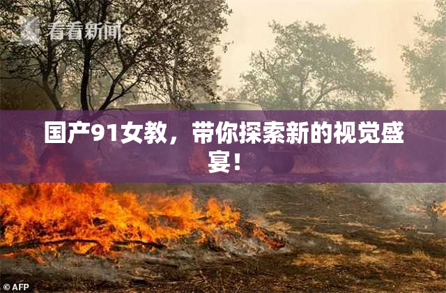 国产91女教，带你探索新的视觉盛宴！