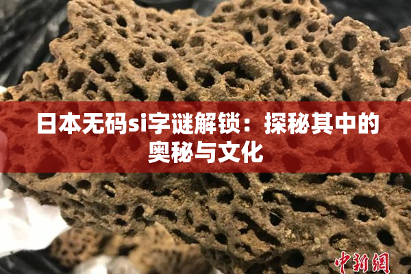 日本无码si字谜解锁：探秘其中的奥秘与文化