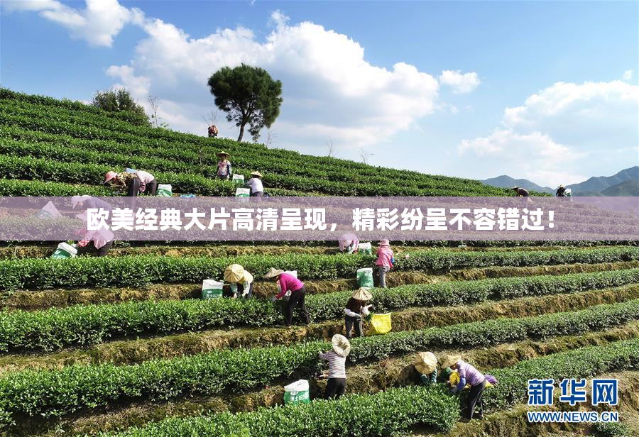 欧美经典大片高清呈现，精彩纷呈不容错过！