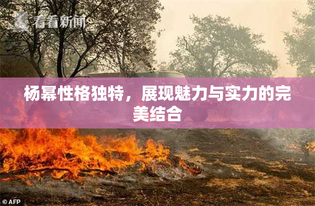 杨幂性格独特，展现魅力与实力的完美结合