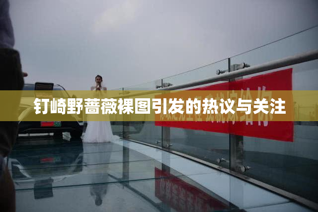 钉崎野蔷薇裸图引发的热议与关注