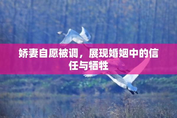 娇妻自愿被调，展现婚姻中的信任与牺牲