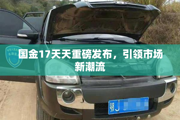 国金17天天重磅发布，引领市场新潮流