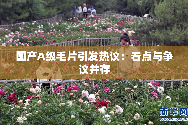 国产A级毛片引发热议：看点与争议并存