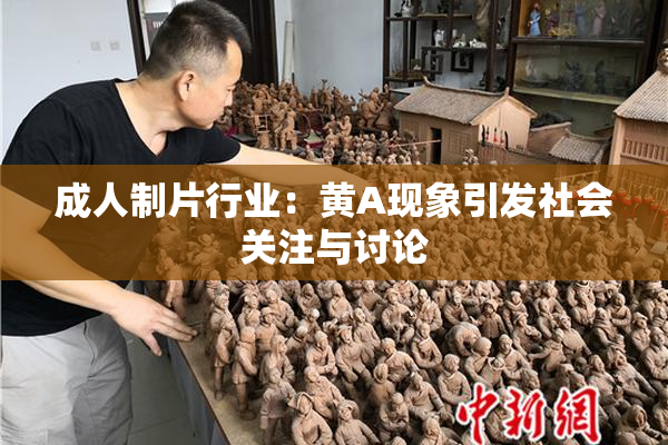成人制片行业：黄A现象引发社会关注与讨论