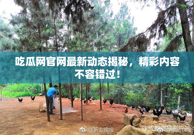 吃瓜网官网最新动态揭秘，精彩内容不容错过！