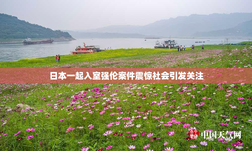 日本一起入室强伦案件震惊社会引发关注