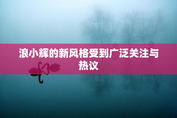 浪小辉的新风格受到广泛关注与热议