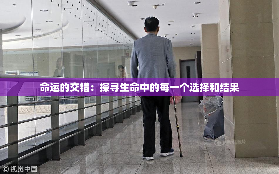 命运的交错：探寻生命中的每一个选择和结果