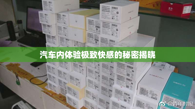 汽车内体验极致快感的秘密揭晓
