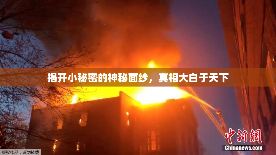 揭开小秘密的神秘面纱，真相大白于天下