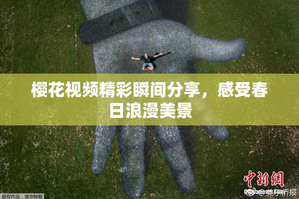樱花视频精彩瞬间分享，感受春日浪漫美景