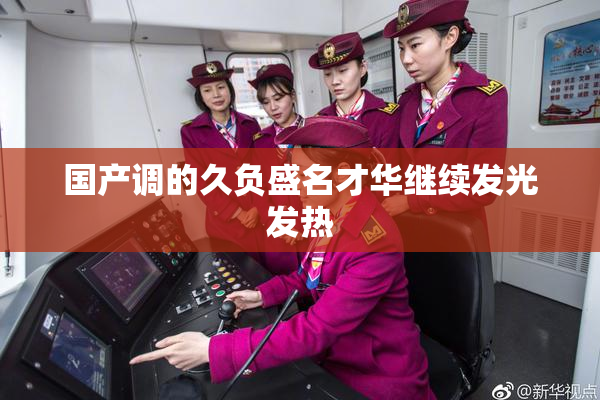国产调的久负盛名才华继续发光发热