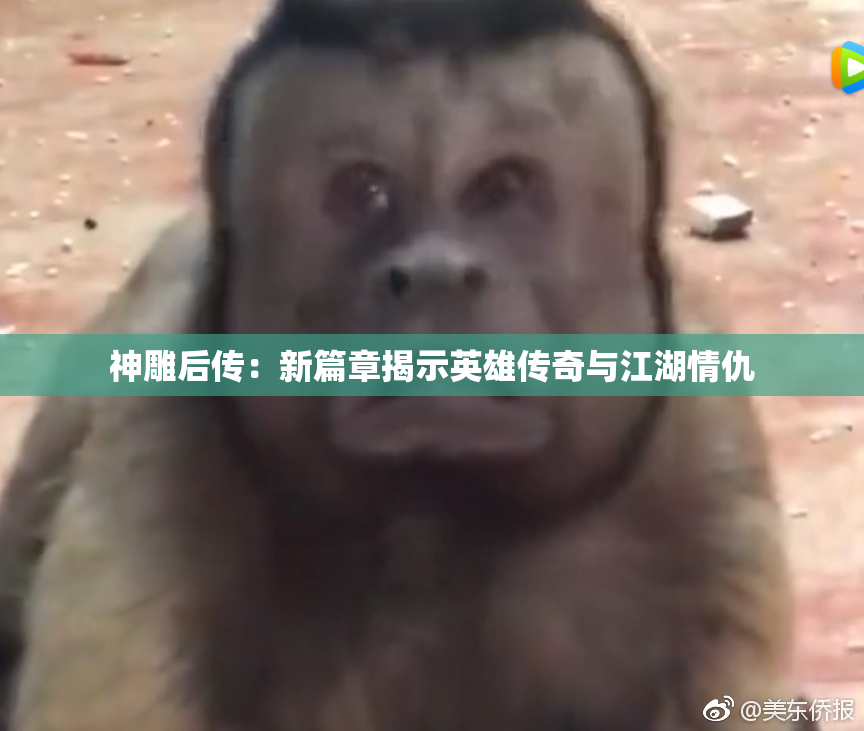 神雕后传：新篇章揭示英雄传奇与江湖情仇