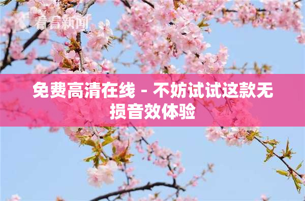 免费高清在线 - 不妨试试这款无损音效体验
