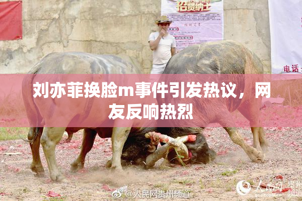 刘亦菲换脸m事件引发热议，网友反响热烈