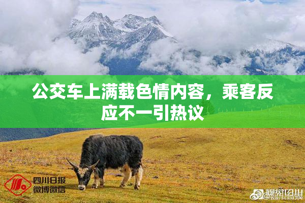 公交车上满载色情内容，乘客反应不一引热议