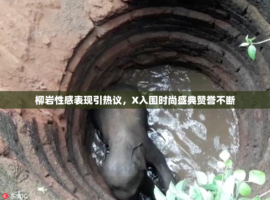 柳岩性感表现引热议，X入围时尚盛典赞誉不断