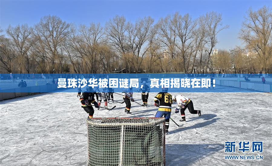 曼珠沙华被困谜局，真相揭晓在即！