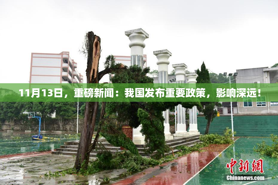 11月13日，重磅新闻：我国发布重要政策，影响深远！