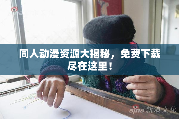同人动漫资源大揭秘，免费下载尽在这里！