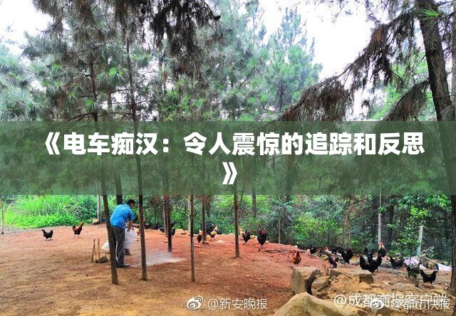 《电车痴汉：令人震惊的追踪和反思》