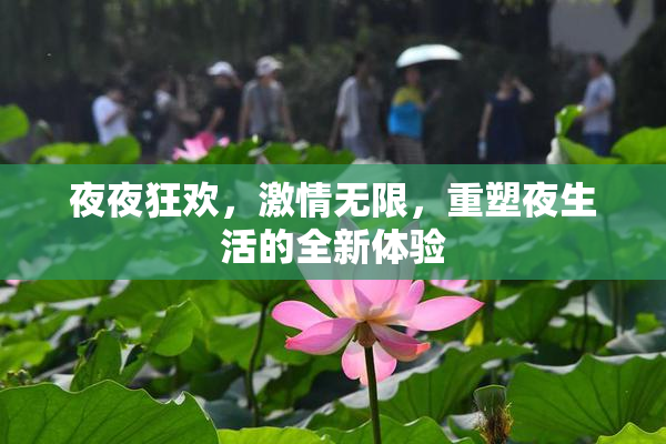 夜夜狂欢，激情无限，重塑夜生活的全新体验