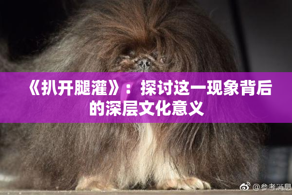 《扒开腿灌》：探讨这一现象背后的深层文化意义