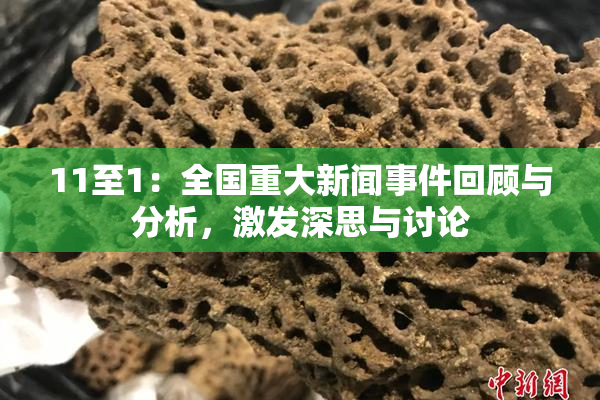 11至1：全国重大新闻事件回顾与分析，激发深思与讨论