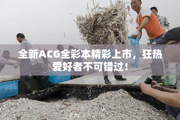 全新ACG全彩本精彩上市，狂热爱好者不可错过！