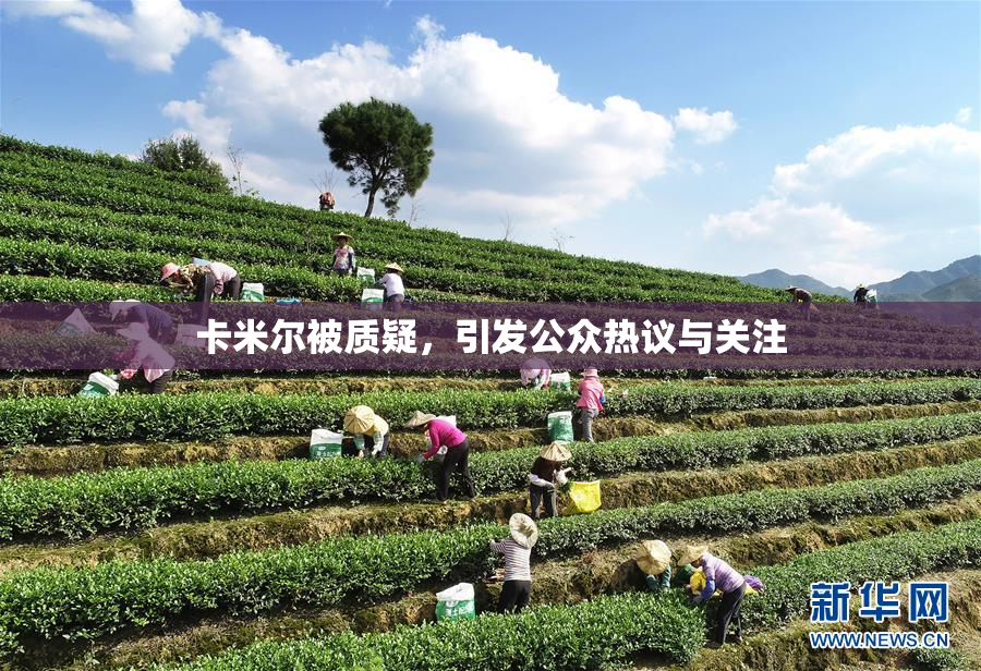 卡米尔被质疑，引发公众热议与关注
