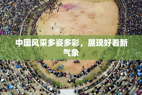 中国风采多姿多彩，展现好看新气象
