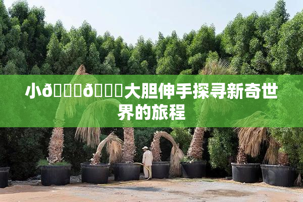 小🐔🐔大胆伸手探寻新奇世界的旅程