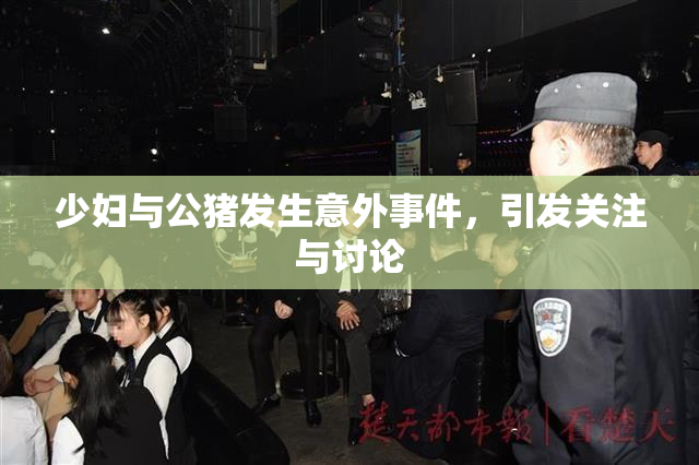 少妇与公猪发生意外事件，引发关注与讨论