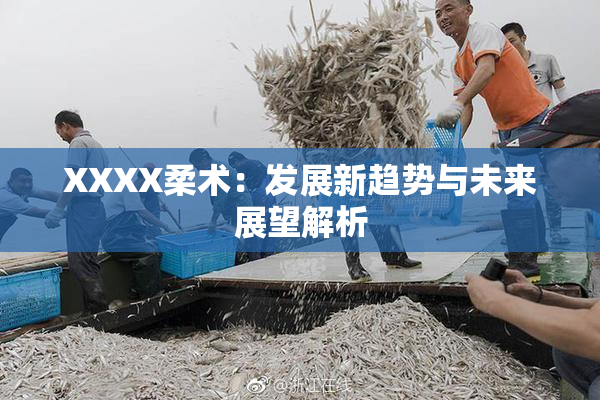 XXXX柔术：发展新趋势与未来展望解析