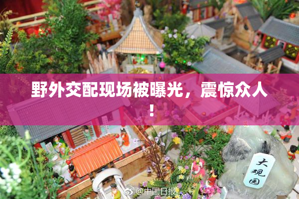 野外交配现场被曝光，震惊众人！