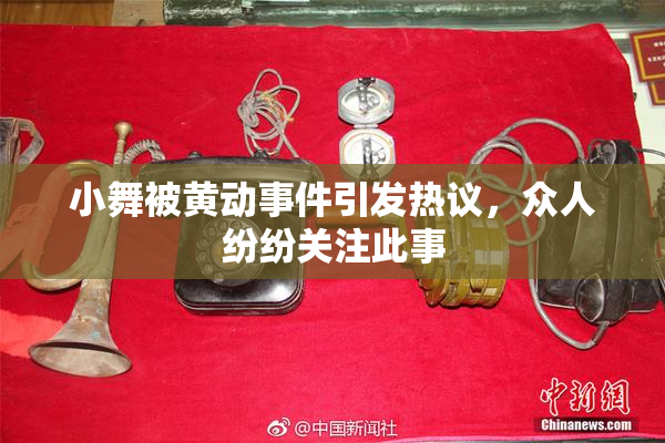 小舞被黄动事件引发热议，众人纷纷关注此事
