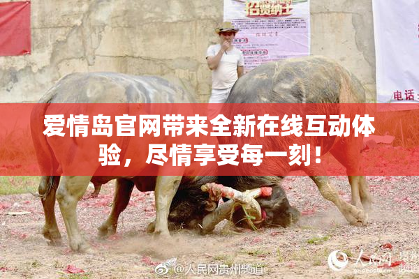 爱情岛官网带来全新在线互动体验，尽情享受每一刻！