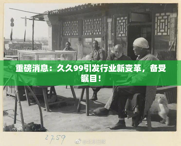重磅消息：久久99引发行业新变革，备受瞩目！