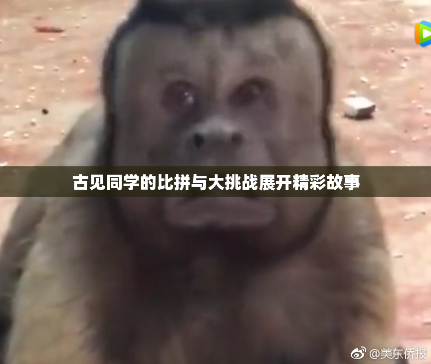 古见同学的比拼与大挑战展开精彩故事